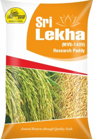 (MVS -14090) SRILEKHA