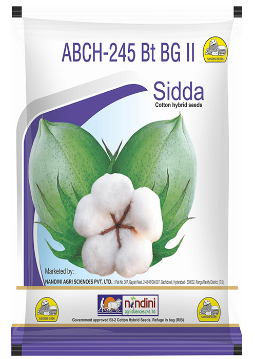 Sidda Packshot