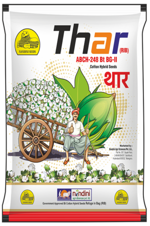 SAMRAT/THAR  (ABCH-247 Bt BGII)