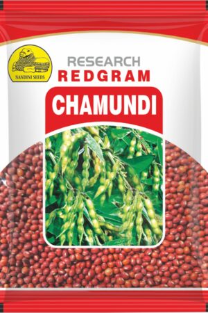 MVS 1617 ( CHAMUNDI)