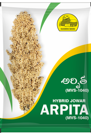 ARPITHA (MVS -1040)