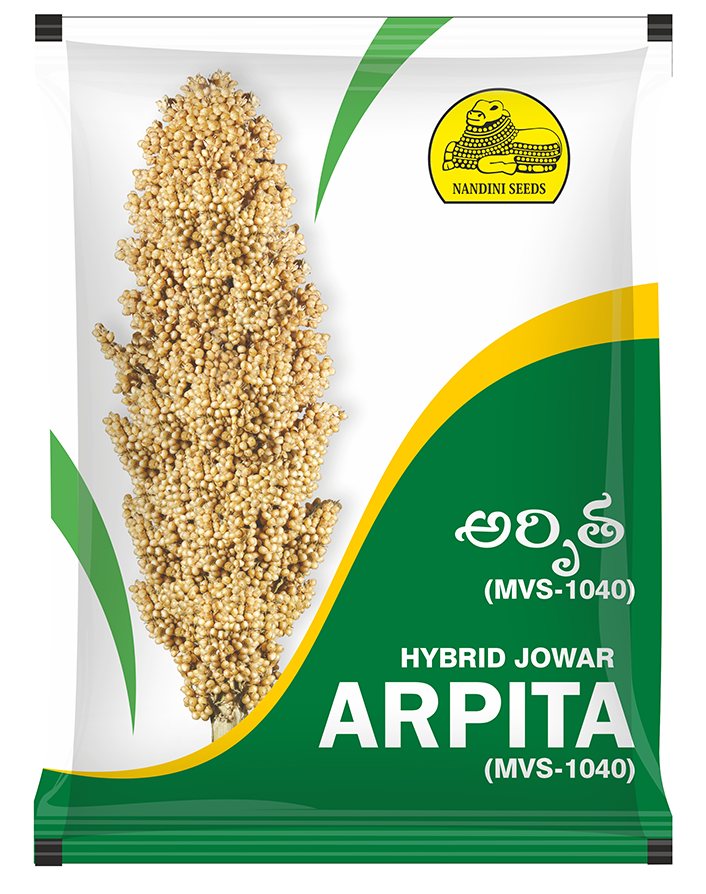 Jowar Arpita_