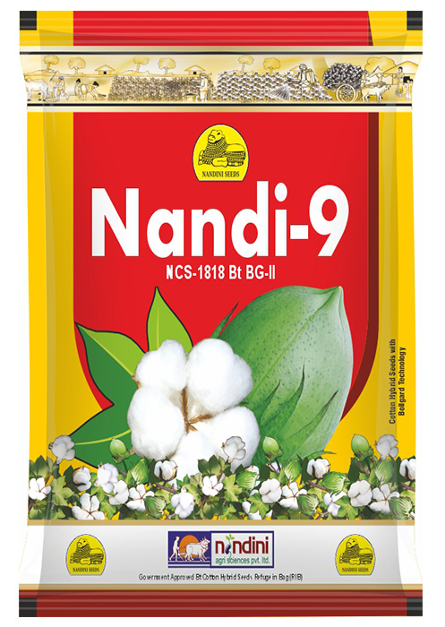 Nandi 9