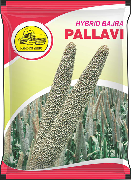 Pallavi-Bajra-Pack