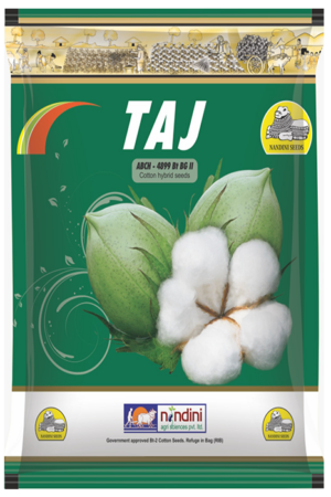 NANDINI TAJ (ABCH-252 Bt BGII)