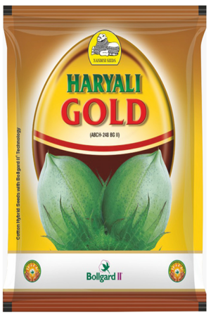 HARYALI GOLD (ABCH-254 Bt BGII)